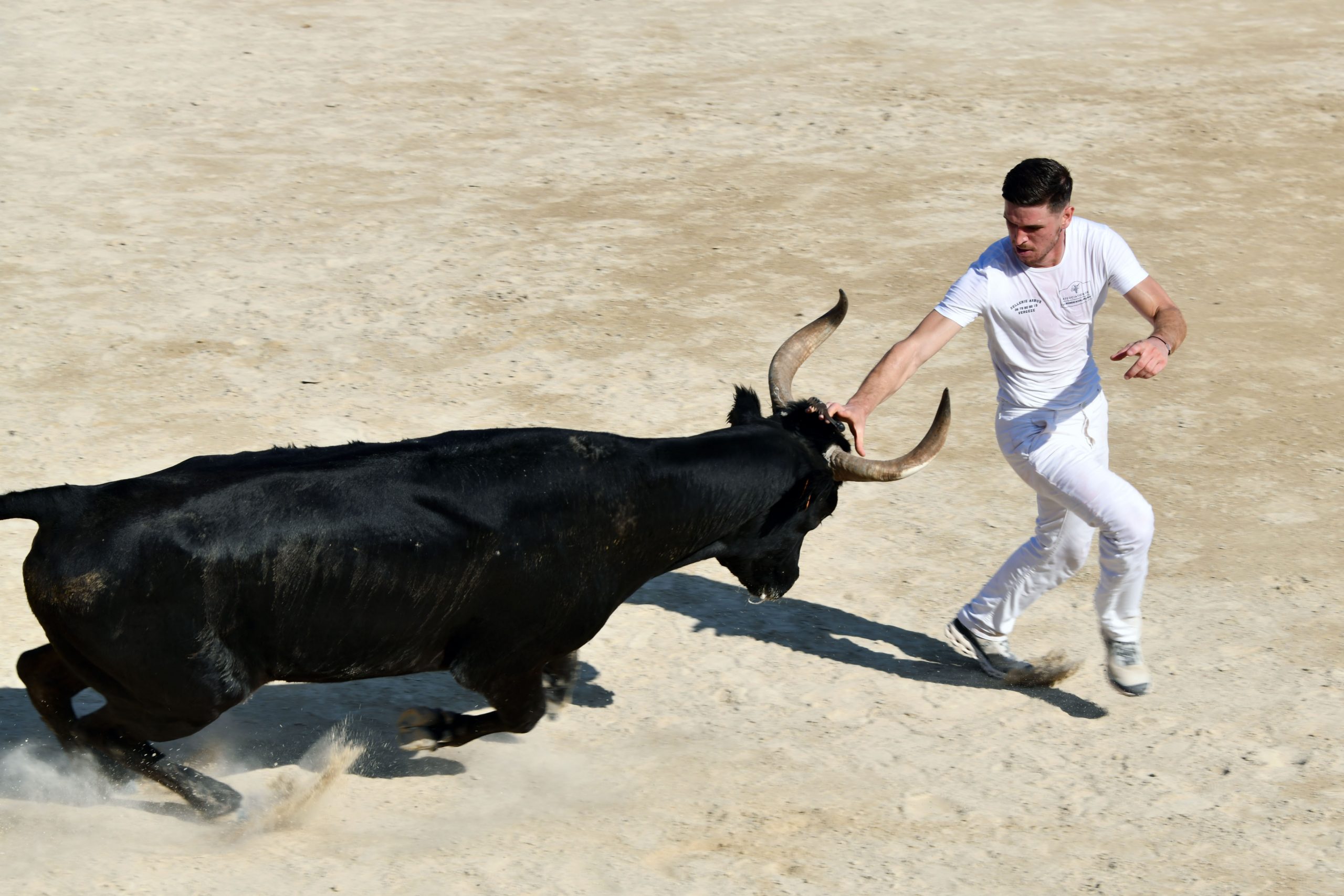 Course Camarguaise Trophée de l'Avenir Le Grau du Roi Le Grau du Roi